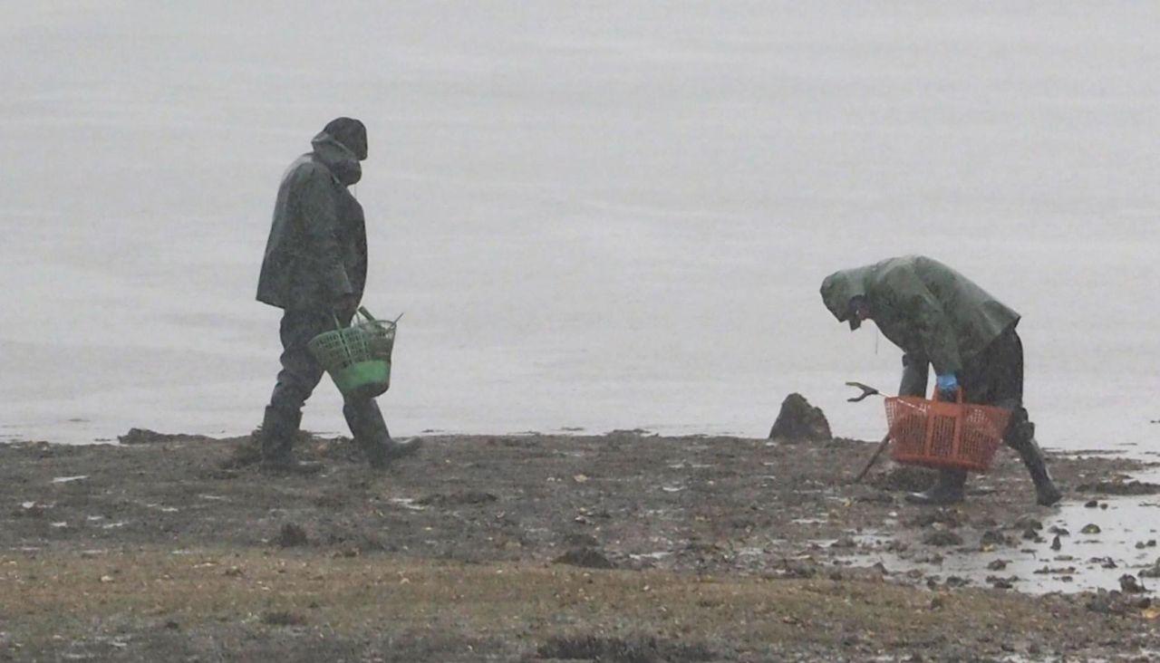 Prensa | Mariscadores de la Ría de Ferrol se manifiestan en Neda y acudirán a protestar en A Coruña en un acto de Rajoy